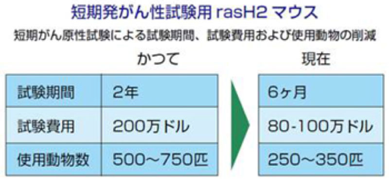 rasH2マウス