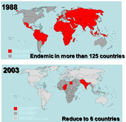 ポリオ撲滅の状況